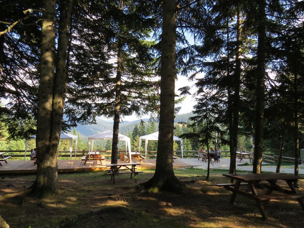 Ferko Ilgaz Mountain Hotel&Resort Esterno foto
