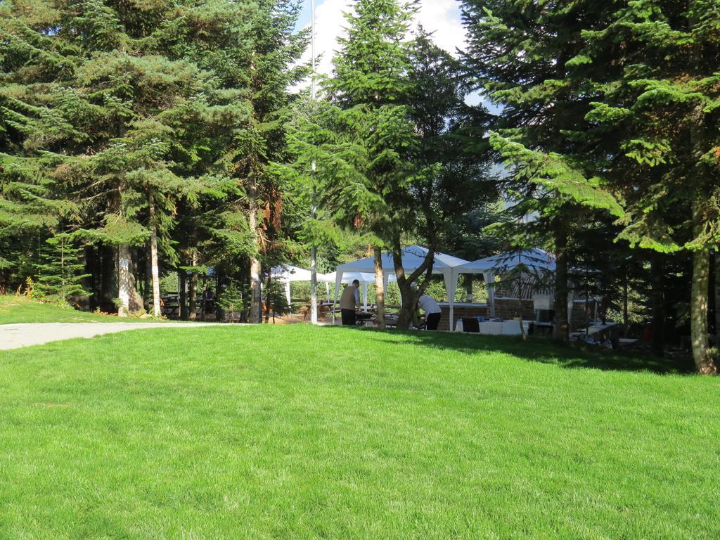 Ferko Ilgaz Mountain Hotel&Resort Esterno foto