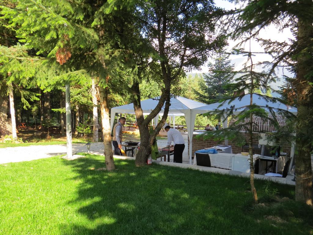 Ferko Ilgaz Mountain Hotel&Resort Esterno foto