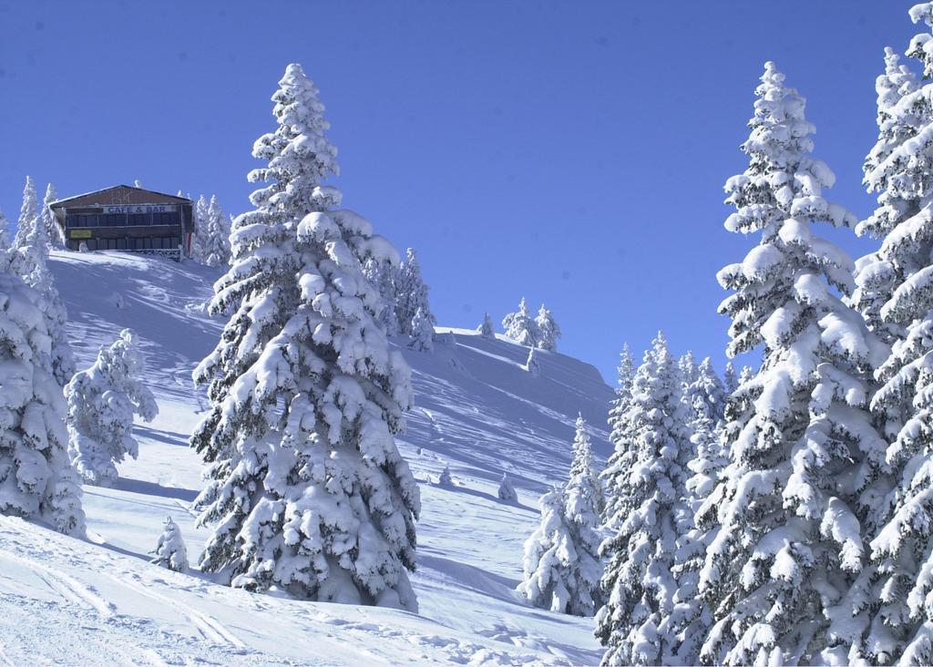 Ferko Ilgaz Mountain Hotel&Resort Esterno foto