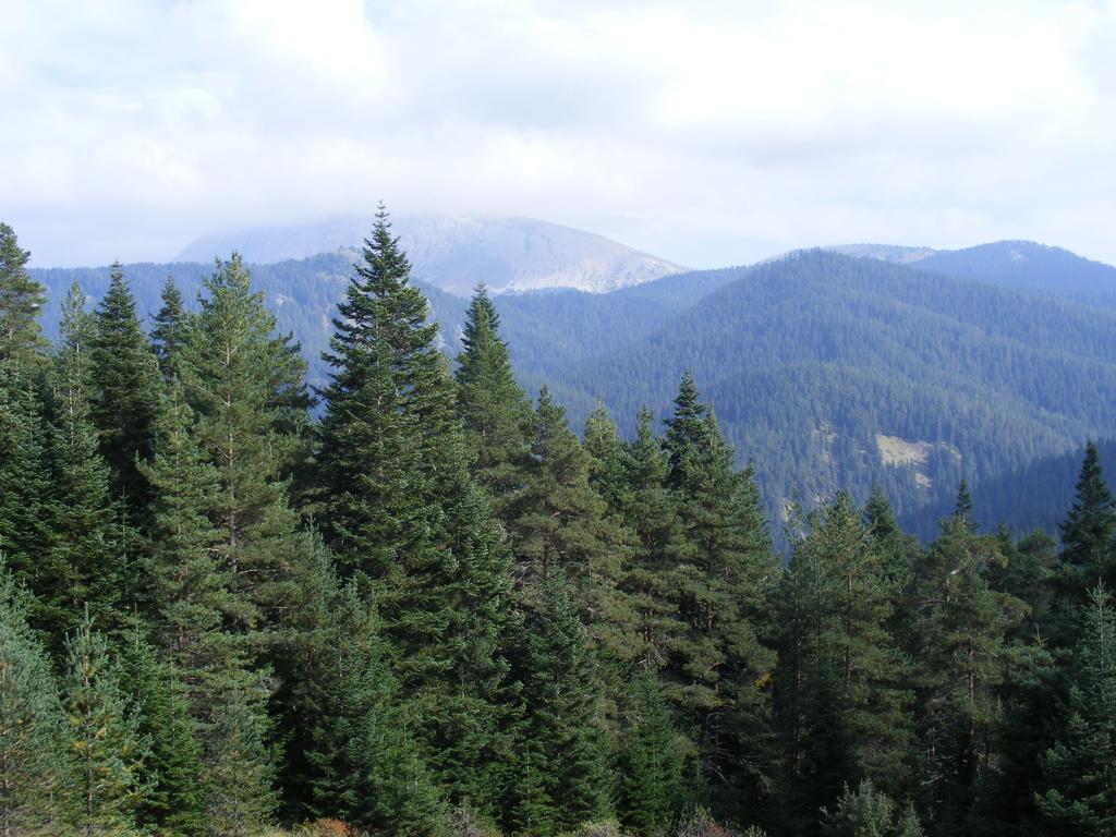 Ferko Ilgaz Mountain Hotel&Resort Esterno foto
