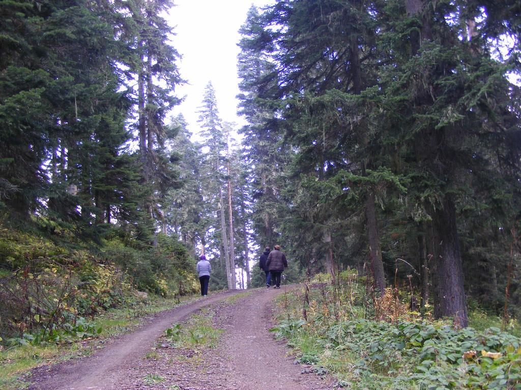 Ferko Ilgaz Mountain Hotel&Resort Esterno foto